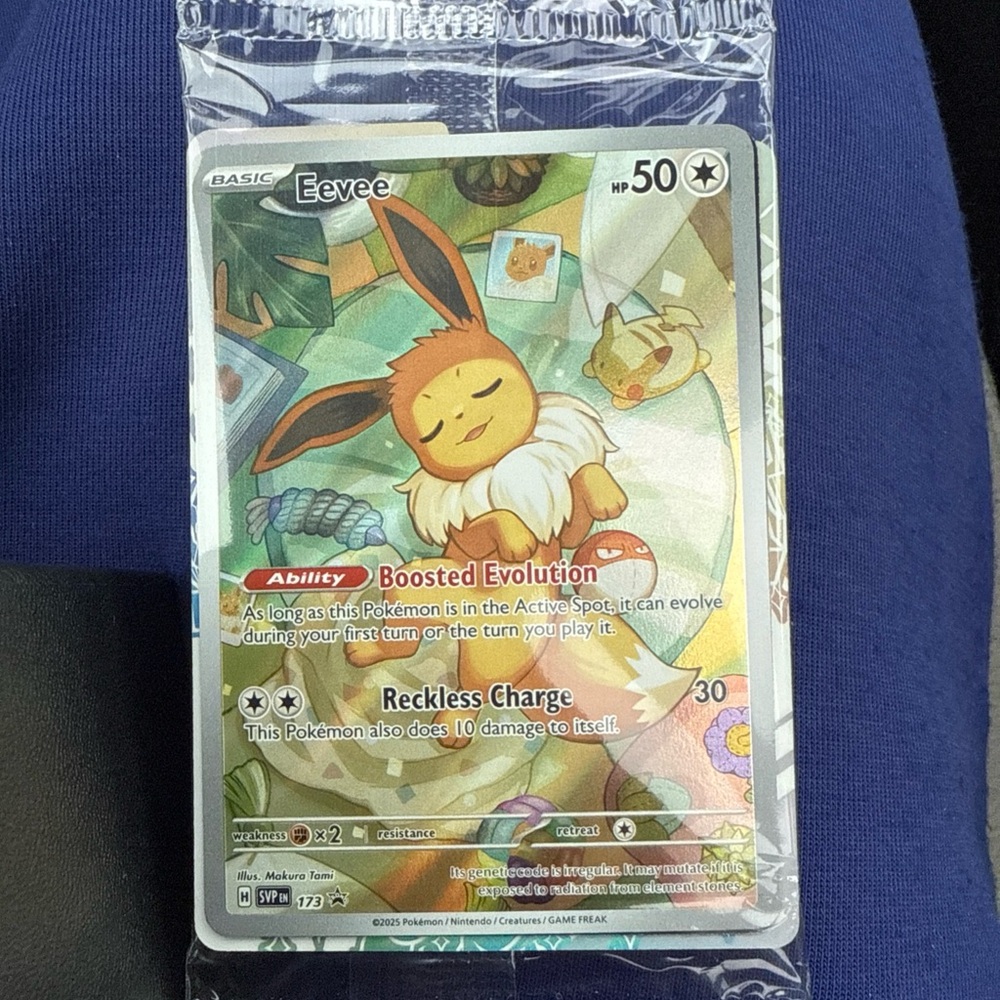 Pokèmon TCG Eevee 173 Elite Trainer Box Promo Brand New Sealed